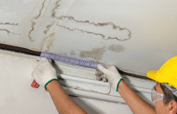 Reliable Basement Water Removal contractor in Chehalis, WA by Water Damage Irwin